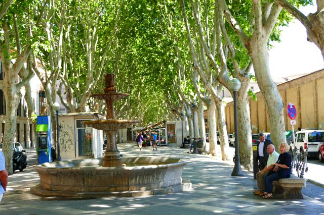 Die Schule — Palma de Mallorca Bild 3