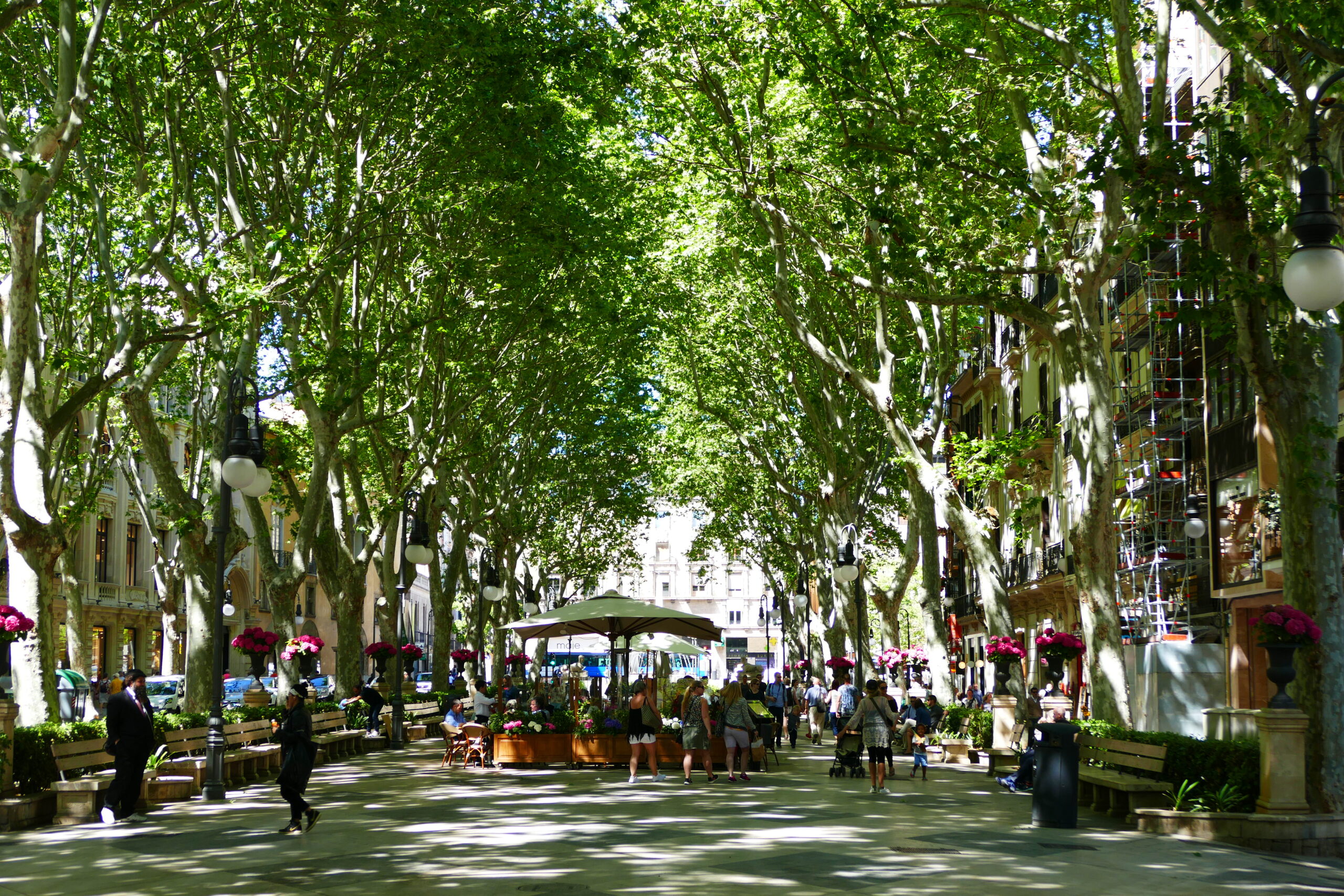 Ort & Umgebung — Palma de Mallorca Bild 1